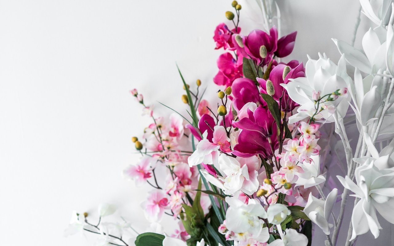 Roze en witte orchideeën in de salon